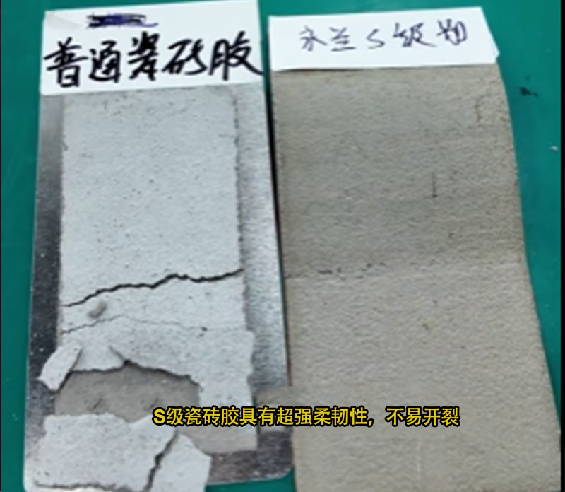 普通與S級瓷磚膠.jpg
